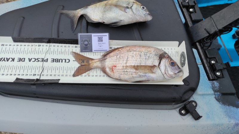 Fish Measure Picture